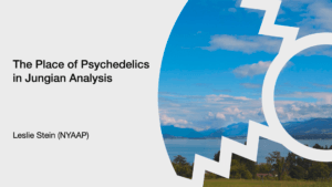 Leslie Stein - The Place of Psychedelics in Jungian Analysis